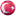 flagi_turz
