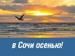 ORENAIR открыла продажу авиабилетов на рейсы в Сочи в сентябре